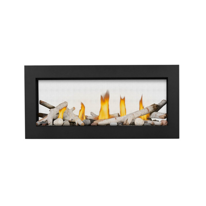 Napoleon - Vector 38" Linear Direct Vent Gas Fireplace - 30,000 BTU