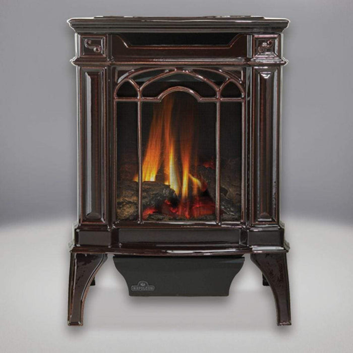 Napoleon - 19" Arlington Direct Vent Cast Iron Gas Stove - 20,000 BTU