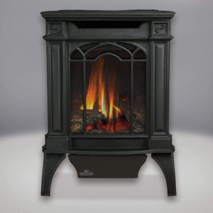 Napoleon - 19" Arlington Direct Vent Cast Iron Gas Stove - 20,000 BTU