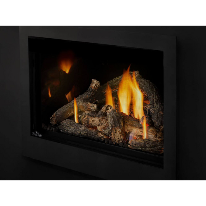 Napoleon - Rosedale 3 Direct Vent Natural Gas Fireplace Insert