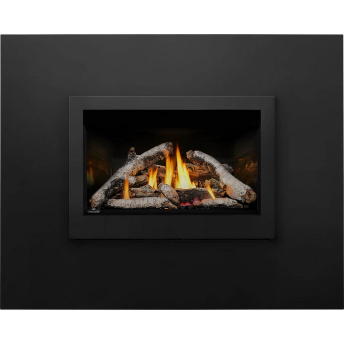 Napoleon - Rosedale 3 Direct Vent Natural Gas Fireplace Insert