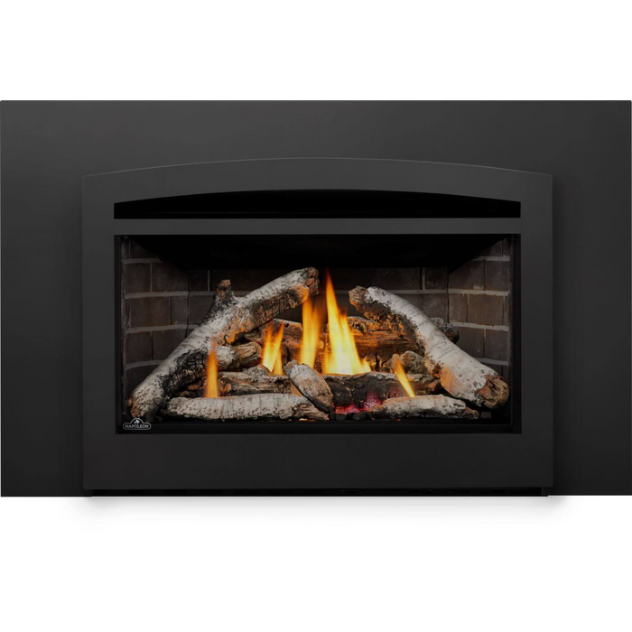 Napoleon - Rosedale 3 Direct Vent Natural Gas Fireplace Insert