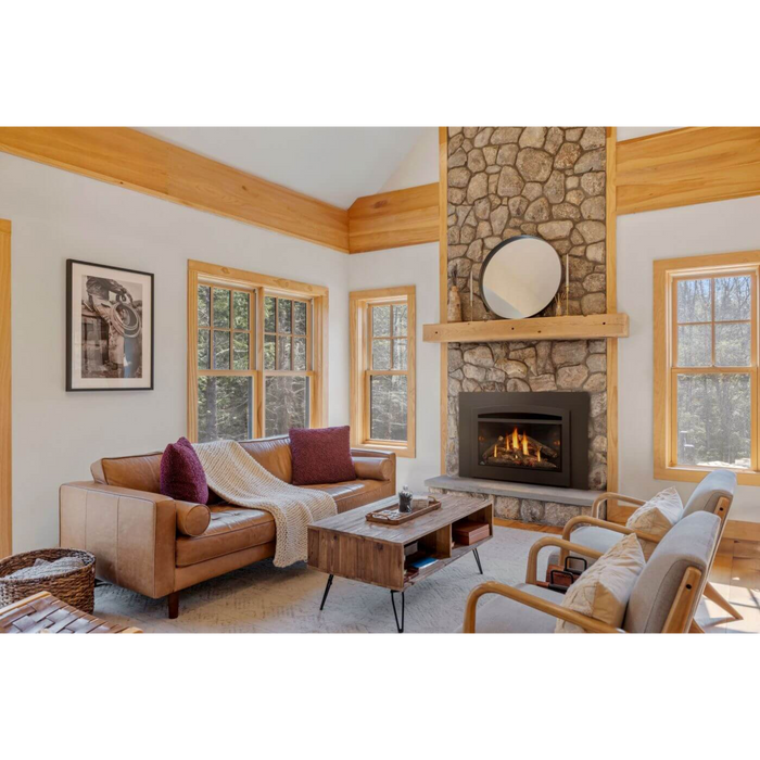 Napoleon - Rosedale 3 Direct Vent Natural Gas Fireplace Insert